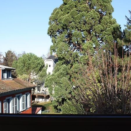 Superb Apt- Garden- 3 Parkings, Near Petite Venise ! Colmar Luaran gambar