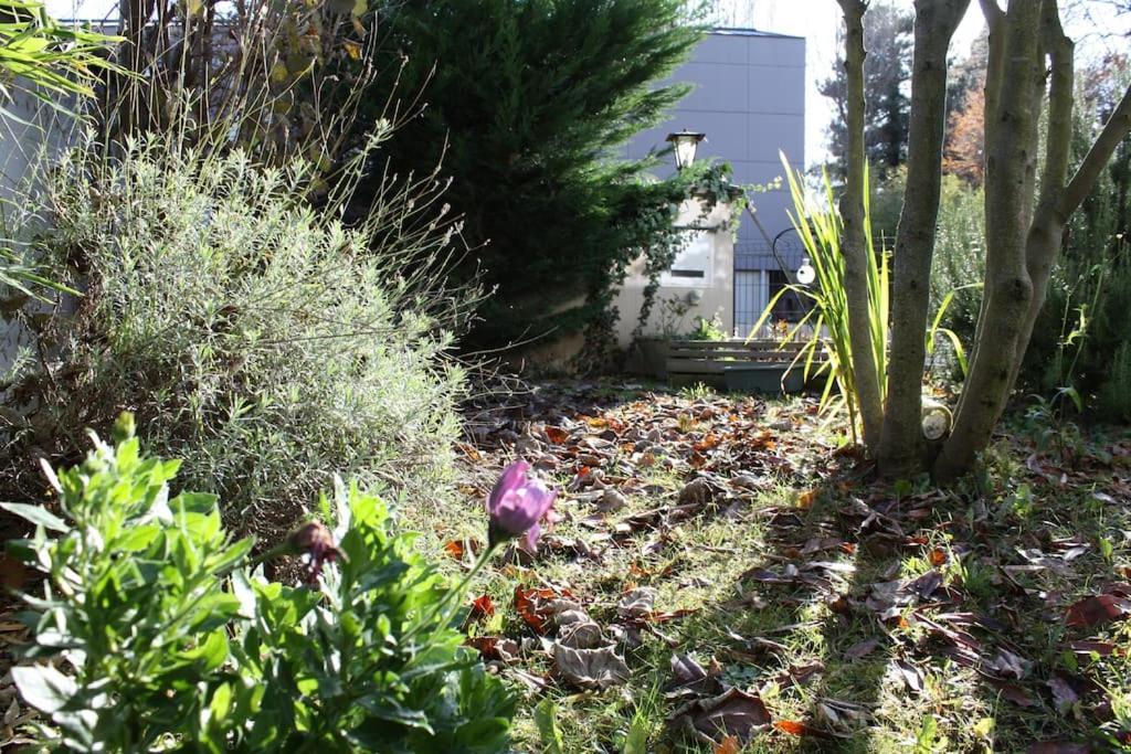 Superb Apt- Garden- 3 Parkings, Near Petite Venise ! Colmar Luaran gambar