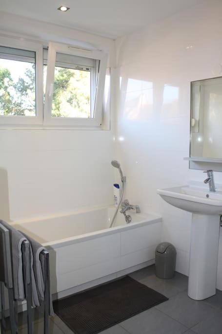 Superb Apt- Garden- 3 Parkings, Near Petite Venise ! Colmar Luaran gambar
