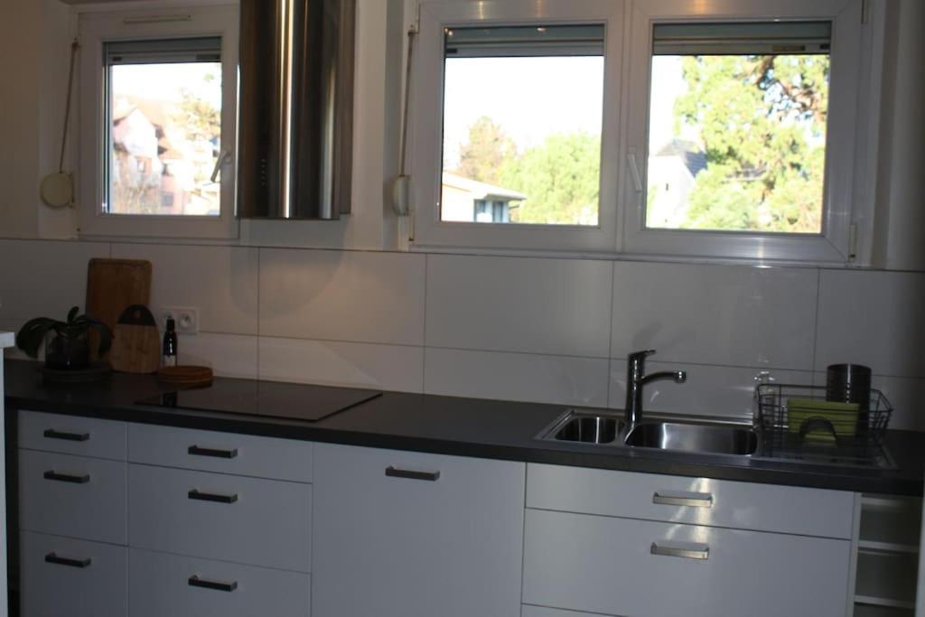 Superb Apt- Garden- 3 Parkings, Near Petite Venise ! Colmar Luaran gambar