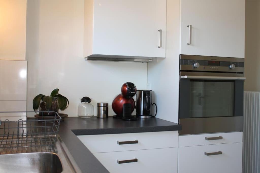 Superb Apt- Garden- 3 Parkings, Near Petite Venise ! Colmar Luaran gambar