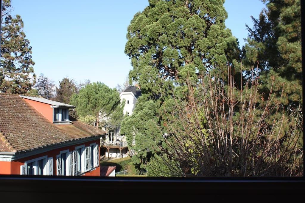 Superb Apt- Garden- 3 Parkings, Near Petite Venise ! Colmar Luaran gambar