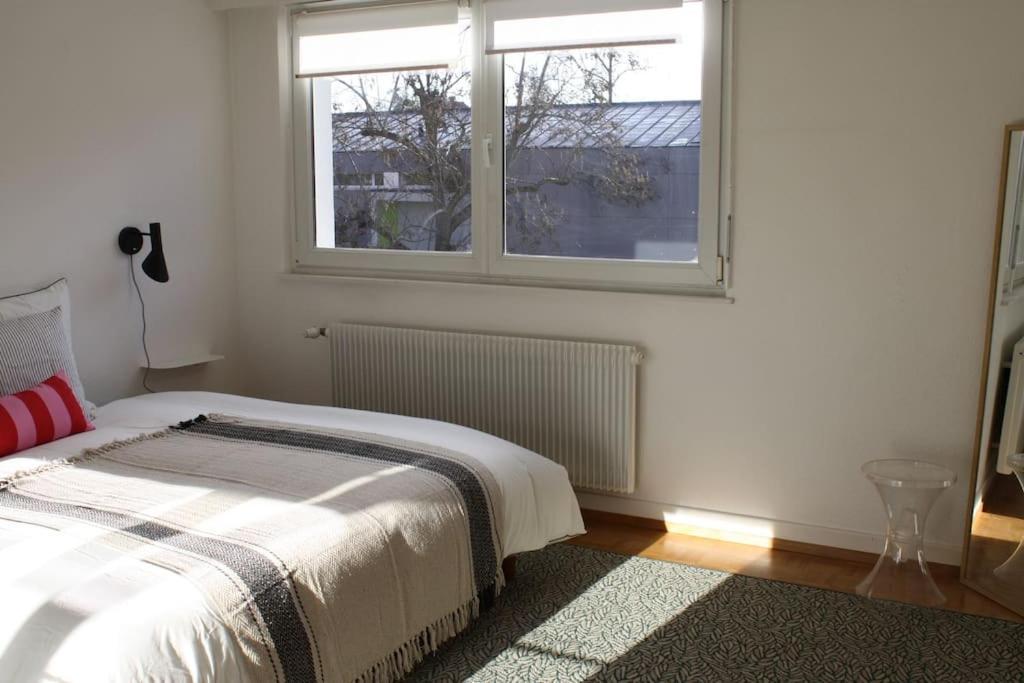 Superb Apt- Garden- 3 Parkings, Near Petite Venise ! Colmar Luaran gambar